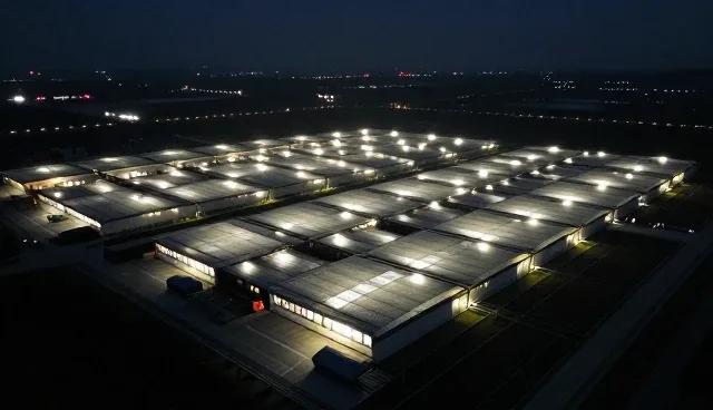 网络因素影响业务响应效率的具体原因分析